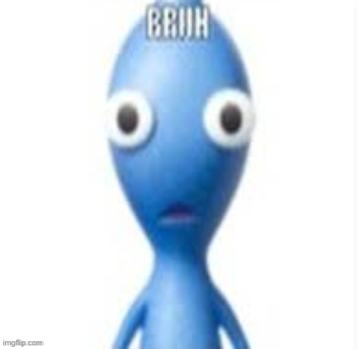 BRUH | image tagged in bruh | made w/ Imgflip meme maker