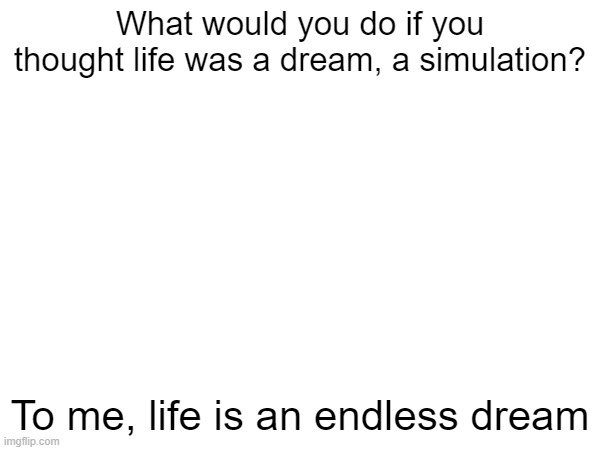 What would you do if you thought life was a dream, a simulation? To me, life is an endless dream | made w/ Imgflip meme maker