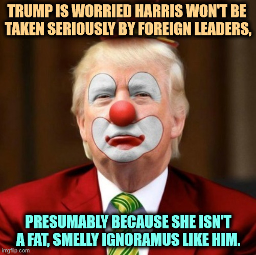 DonOld is an Old Fool. | TRUMP IS WORRIED HARRIS WON'T BE 
TAKEN SERIOUSLY BY FOREIGN LEADERS, PRESUMABLY BECAUSE SHE ISN'T A FAT, SMELLY IGNORAMUS LIKE HIM. | image tagged in donald trump clown,trump,fool,fat,smelly,idiot | made w/ Imgflip meme maker