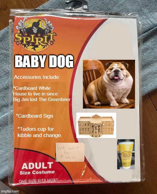 Spirit Halloween | BABY DOG; Accessories Include:; *Cardboard White House to live in since
Big Jim lost The Greenbrier; *Cardboard Sign; *Tudors cup for kibble and change. | image tagged in spirit halloween,west virginia,political meme,halloween,governor | made w/ Imgflip meme maker