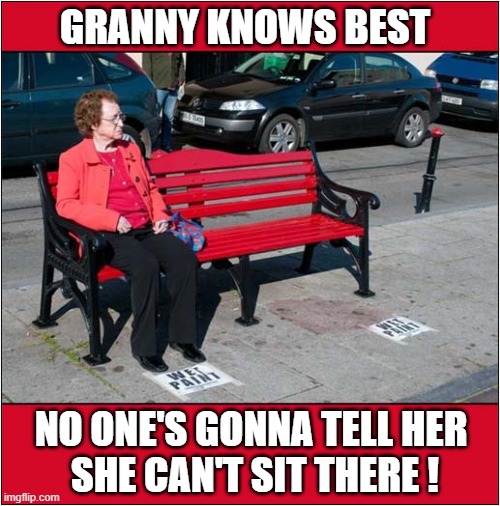 A Least She's Wearing A Red Coat ! | GRANNY KNOWS BEST; NO ONE'S GONNA TELL HER
 SHE CAN'T SIT THERE ! | image tagged in granny,wet paint | made w/ Imgflip meme maker