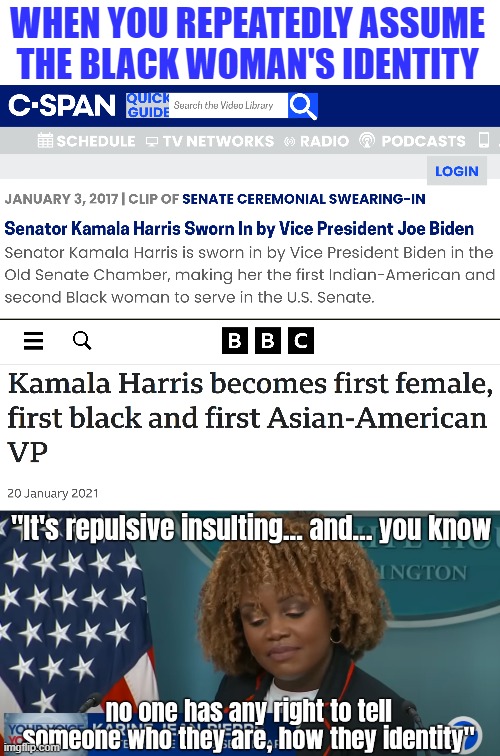 WHEN YOU REPEATEDLY ASSUME 
THE BLACK WOMAN'S IDENTITY | image tagged in kamala harris,american politics,identity politics | made w/ Imgflip meme maker