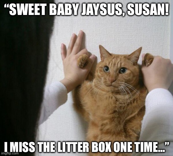 No rules, only cats | “SWEET BABY JAYSUS, SUSAN! I MISS THE LITTER BOX ONE TIME…” | image tagged in kabedon kitty | made w/ Imgflip meme maker