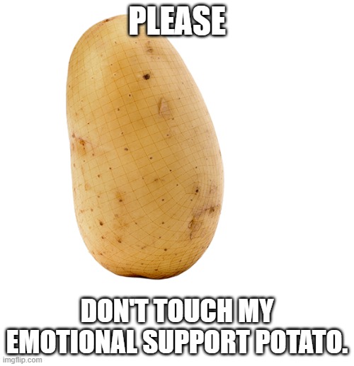 Emotional support potato | PLEASE; DON'T TOUCH MY EMOTIONAL SUPPORT POTATO. | image tagged in service potato,emotional support,potato chips | made w/ Imgflip meme maker