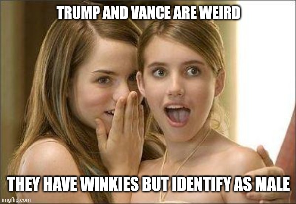 Girls gossiping | TRUMP AND VANCE ARE WEIRD THEY HAVE WINKIES BUT IDENTIFY AS MALE | image tagged in girls gossiping | made w/ Imgflip meme maker