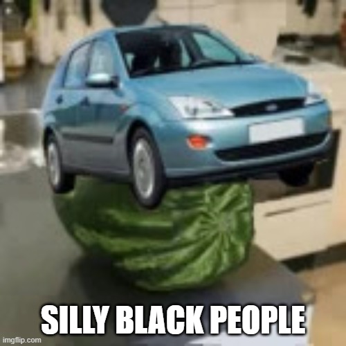 FocusMelon | SILLY BLACK PEOPLE | image tagged in focusmelon | made w/ Imgflip meme maker