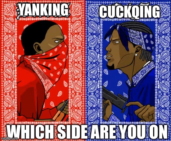 red gang and blue gang | YANKING; CUCKQING; WHICH SIDE ARE YOU ON | image tagged in red gang and blue gang | made w/ Imgflip meme maker