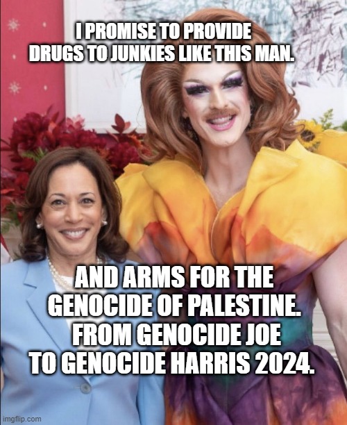 JD Vance is Weird | I PROMISE TO PROVIDE DRUGS TO JUNKIES LIKE THIS MAN. AND ARMS FOR THE GENOCIDE OF PALESTINE.  FROM GENOCIDE JOE TO GENOCIDE HARRIS 2024. | image tagged in jd vance is weird | made w/ Imgflip meme maker