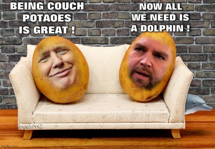 image tagged in maga cult,maga morons,jd vance,couch,dolphins,donald trump is an idiot | made w/ Imgflip meme maker