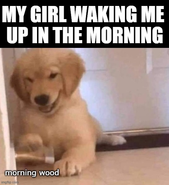 MY GIRL WAKING ME 
UP IN THE MORNING; morning wood | image tagged in good morning | made w/ Imgflip meme maker