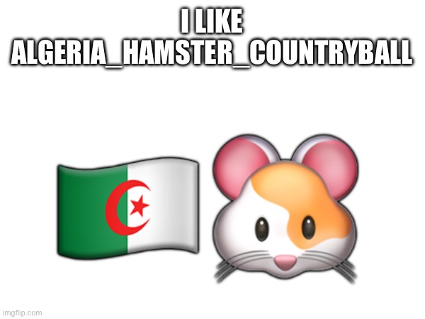 I LIKE ALGERIA_HAMSTER_COUNTRYBALL; 🇩🇿🐹 | made w/ Imgflip meme maker