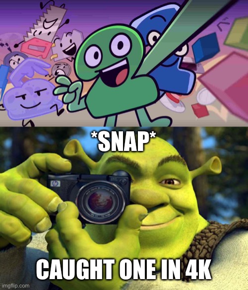 *SNAP*; CAUGHT ONE IN 4K | image tagged in shrek camera | made w/ Imgflip meme maker