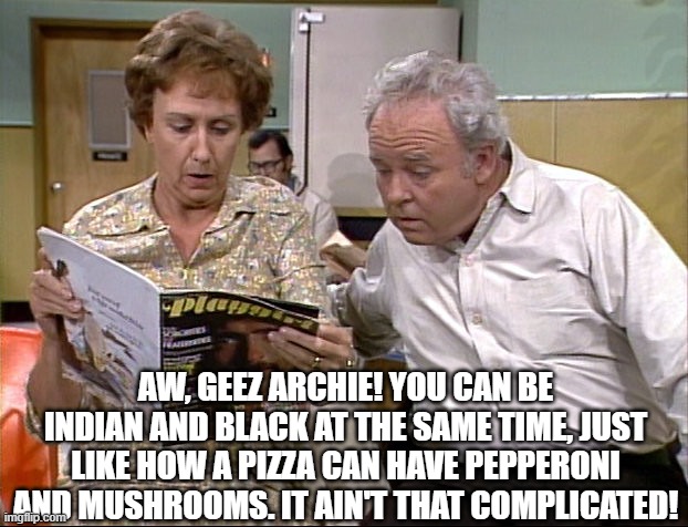 AW, GEEZ ARCHIE! YOU CAN BE INDIAN AND BLACK AT THE SAME TIME, JUST LIKE HOW A PIZZA CAN HAVE PEPPERONI AND MUSHROOMS. IT AIN'T THAT COMPLICATED! | made w/ Imgflip meme maker