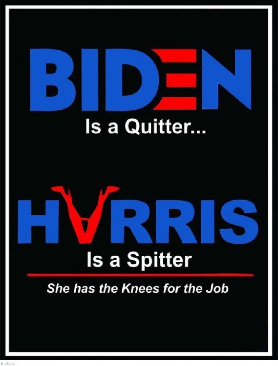 Biden is a quitter. Harris is a splitter. | image tagged in sad joe biden,heels up harris,no jobs,blow jobs,political prostitute,build back better | made w/ Imgflip meme maker