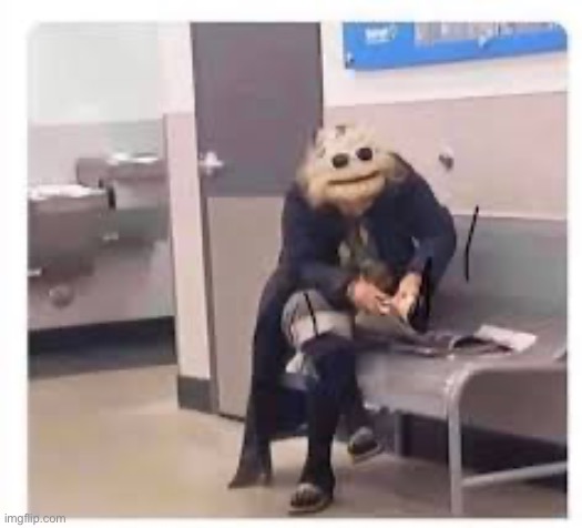I’m high, I thought this was a muppet | made w/ Imgflip meme maker