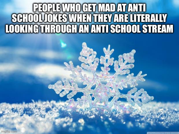 Snowflakes, that’s what they are | PEOPLE WHO GET MAD AT ANTI SCHOOL JOKES WHEN THEY ARE LITERALLY LOOKING THROUGH AN ANTI SCHOOL STREAM | image tagged in snowflake | made w/ Imgflip meme maker