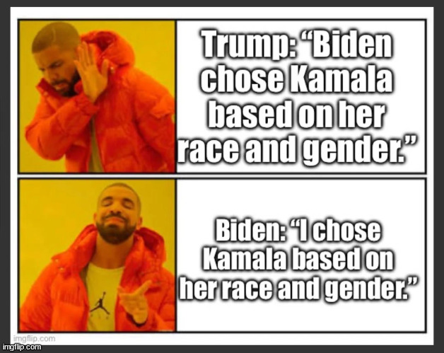 liberal hypocrisy | image tagged in liberal hypocrisy | made w/ Imgflip meme maker