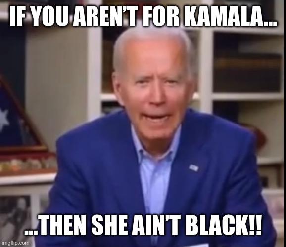 Kamala is 25% black | IF YOU AREN’T FOR KAMALA…; …THEN SHE AIN’T BLACK!! | image tagged in kamala,black,quadroon,biden,indian | made w/ Imgflip meme maker