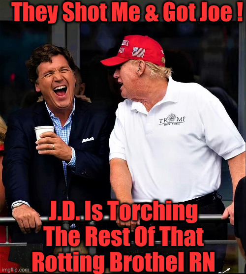 Worst Catlady House in Town | They Shot Me & Got Joe ! J.D. Is Torching The Rest Of That Rotting Brothel RN | image tagged in trump and tucker have a laugh,politics,political meme,funny memes,funny | made w/ Imgflip meme maker