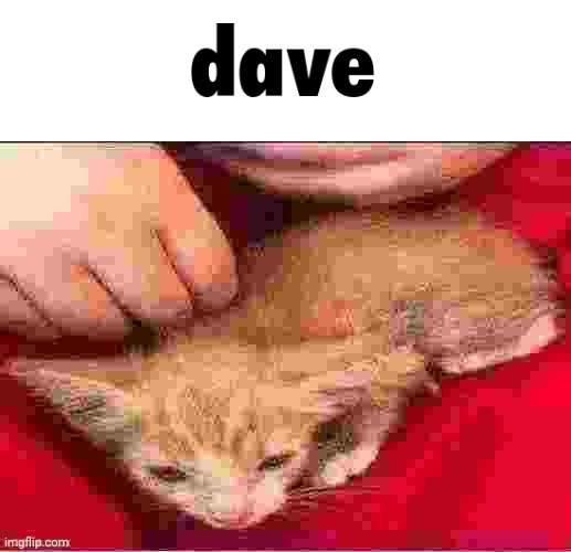 dave | image tagged in dave | made w/ Imgflip meme maker