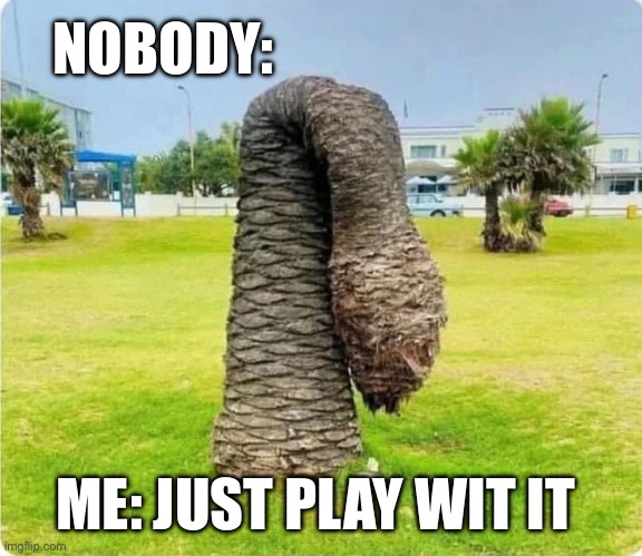 Just play with it | NOBODY:; ME: JUST PLAY WIT IT | image tagged in funny memes,wiener | made w/ Imgflip meme maker