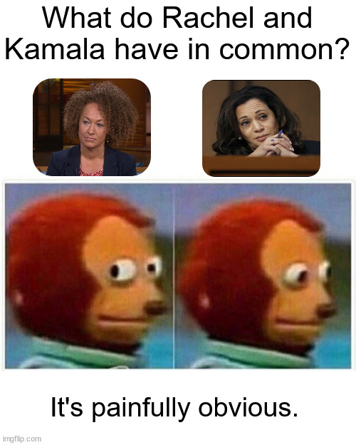 "Alex, I'll take 'You ain't black' for $500. | What do Rachel and Kamala have in common? It's painfully obvious. | image tagged in memes,monkey puppet,kamala harris,rachel dolezal,captain obvious,dnc | made w/ Imgflip meme maker