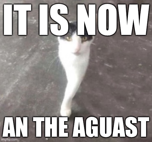 yes i intentionally misspelled | IT IS NOW; AN THE AGUAST | made w/ Imgflip meme maker