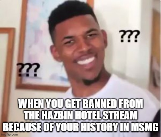 Nick Young | WHEN YOU GET BANNED FROM THE HAZBIN HOTEL STREAM BECAUSE OF YOUR HISTORY IN MSMG | made w/ Imgflip meme maker