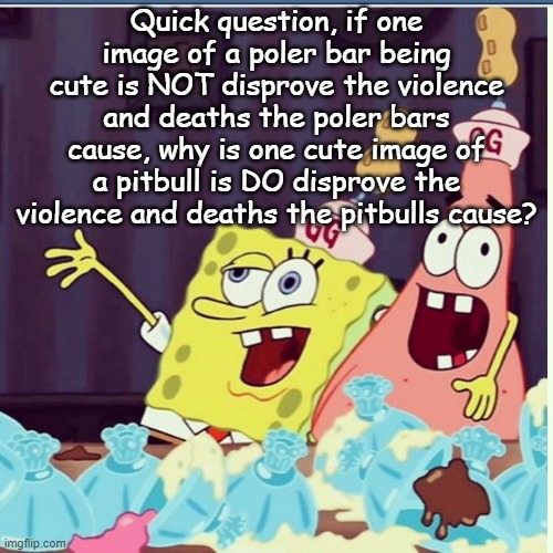 Drunk Spongebob goofy goober | Quick question, if one image of a poler bar being cute is NOT disprove the violence and deaths the poler bars cause, why is one cute image of a pitbull is DO disprove the violence and deaths the pitbulls cause? | image tagged in drunk spongebob goofy goober | made w/ Imgflip meme maker
