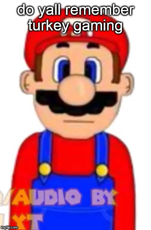 Mario | do yall remember turkey gaming | image tagged in mario | made w/ Imgflip meme maker