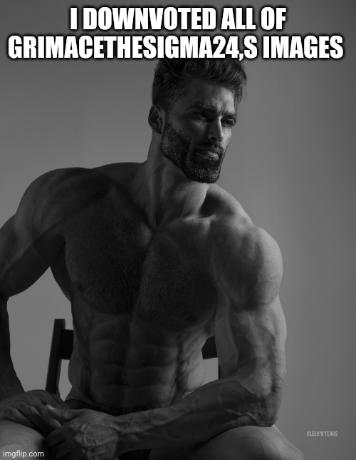 Your welcome | I DOWNVOTED ALL OF GRIMACETHESIGMA24,S IMAGES | image tagged in giga chad | made w/ Imgflip meme maker