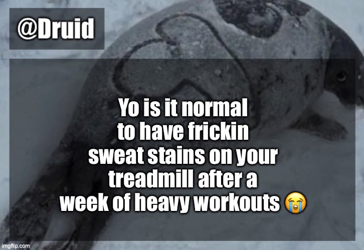 Old announcement temp | Yo is it normal to have frickin sweat stains on your treadmill after a week of heavy workouts 😭 | image tagged in y | made w/ Imgflip meme maker