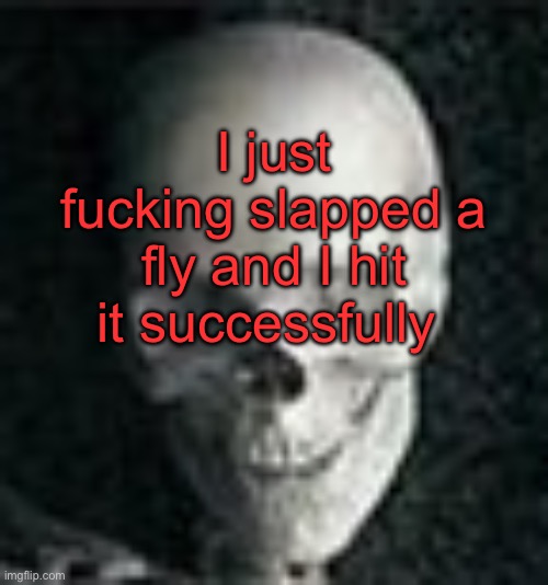 Skull | I just fucking slapped a fly and I hit it successfully | image tagged in skull,fly,wtf | made w/ Imgflip meme maker