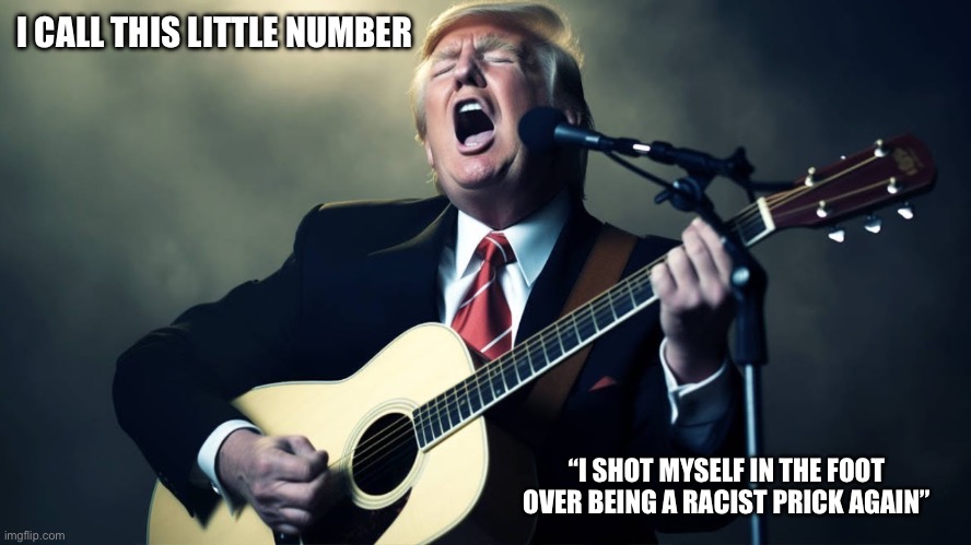 Did Trump “turn” stupid too? | I CALL THIS LITTLE NUMBER; “I SHOT MYSELF IN THE FOOT OVER BEING A RACIST PRICK AGAIN” | image tagged in trump guitar | made w/ Imgflip meme maker