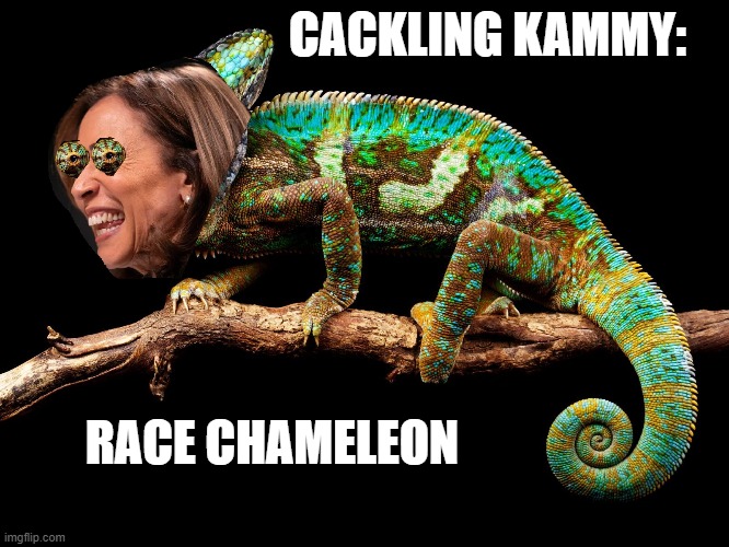 CACKLING KAMMY:; RACE CHAMELEON | made w/ Imgflip meme maker