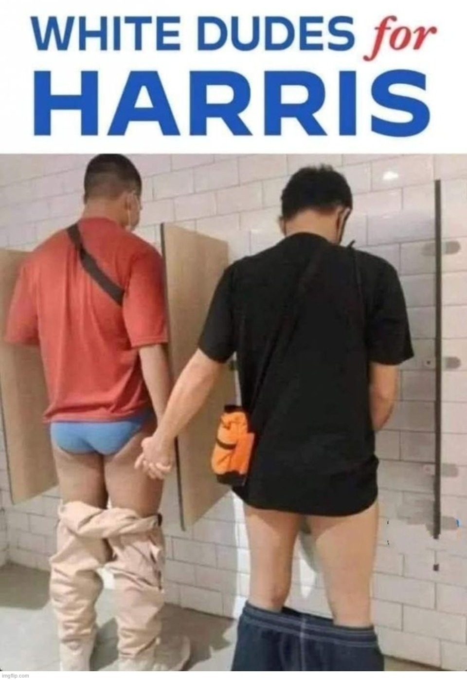 White dudes for Harris | image tagged in white dudes,soyboys,cucks,who's your daddy,i diagnose you with gay,the book of faggets | made w/ Imgflip meme maker
