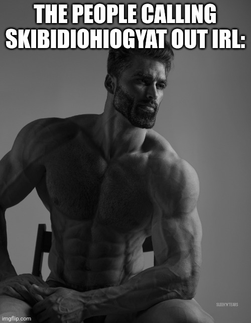 Giga Chad | THE PEOPLE CALLING SKIBIDIOHIOGYAT OUT IRL: | image tagged in giga chad | made w/ Imgflip meme maker