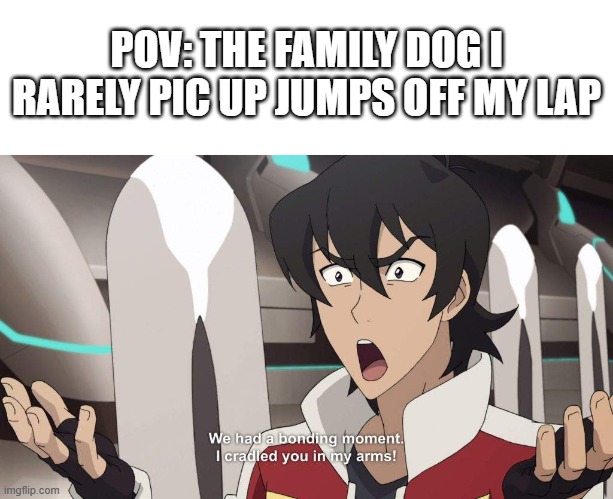 I said this once and only my sis knew | POV: THE FAMILY DOG I RARELY PIC UP JUMPS OFF MY LAP | made w/ Imgflip meme maker