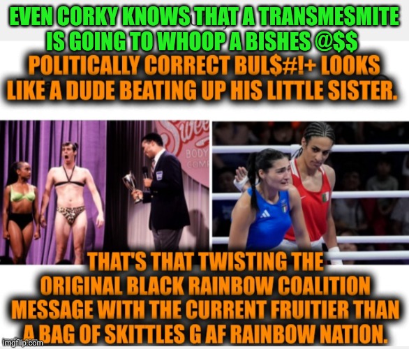 Funny | EVEN CORKY KNOWS THAT A TRANSMESMITE IS GOING TO WHOOP A BISHES @$$ | image tagged in funny,olympics,games,sports,boxing,common sense | made w/ Imgflip meme maker