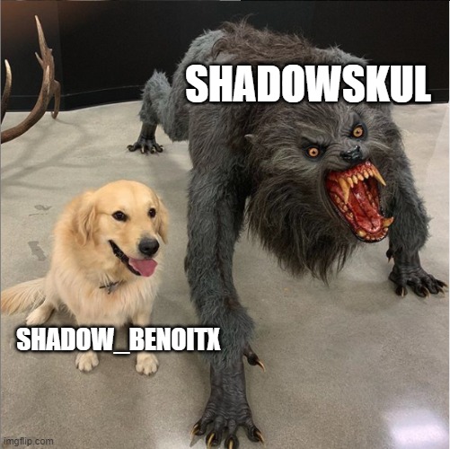 dog vs werewolf | SHADOWSKUL SHADOW_BENOITX | image tagged in dog vs werewolf | made w/ Imgflip meme maker