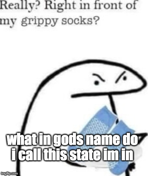 i got names for different feelings due to outside forces (e.g. heat drunkness) | what in gods name do i call this state im in | image tagged in right in front of my grippy socks,thats literally just heat exhaustion dipshit | made w/ Imgflip meme maker
