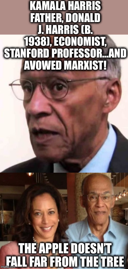 This isn’t even a joke anymore. DEMOCRATS MUST BE STOPPED! | KAMALA HARRIS FATHER, DONALD J. HARRIS (B. 1938), ECONOMIST, STANFORD PROFESSOR…AND AVOWED MARXIST! THE APPLE DOESN’T FALL FAR FROM THE TREE | image tagged in communism,kamala harris,marxism,karl marx,democrats,memes | made w/ Imgflip meme maker