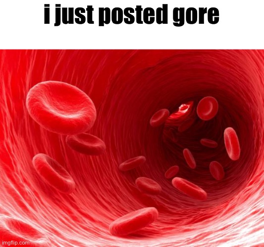 woahhh i posted gore i am inside a turkey woahh | i just posted gore | image tagged in blood cells | made w/ Imgflip meme maker