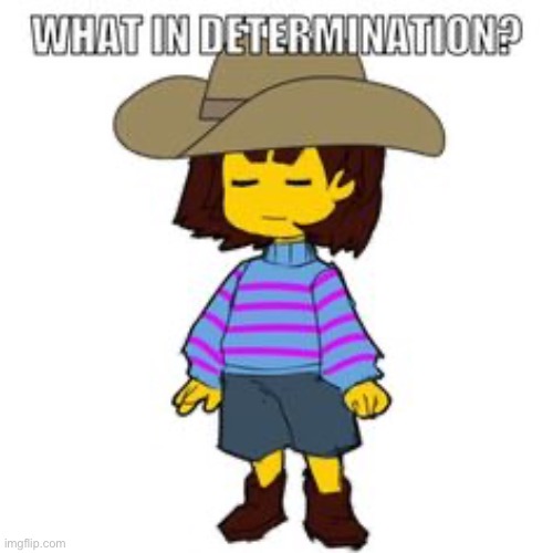 What in determination? | image tagged in what in determination | made w/ Imgflip meme maker