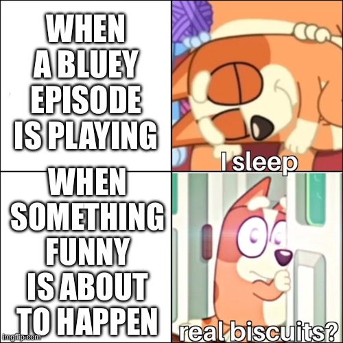 Being funny is the best part of the show | WHEN A BLUEY EPISODE IS PLAYING; WHEN SOMETHING FUNNY IS ABOUT TO HAPPEN | image tagged in real biscuits,memes,bluey | made w/ Imgflip meme maker