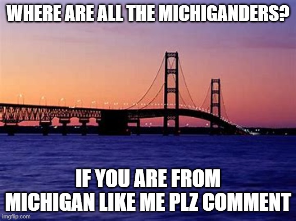 i live in Alabama now but I will always be a Michigander | WHERE ARE ALL THE MICHIGANDERS? IF YOU ARE FROM MICHIGAN LIKE ME PLZ COMMENT | image tagged in michigan | made w/ Imgflip meme maker