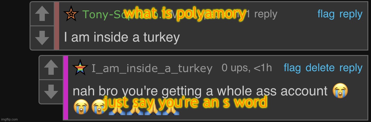 im family friendly i cant say it | what is polyamory; just say you're an s word | image tagged in i am inside a turkey | made w/ Imgflip meme maker