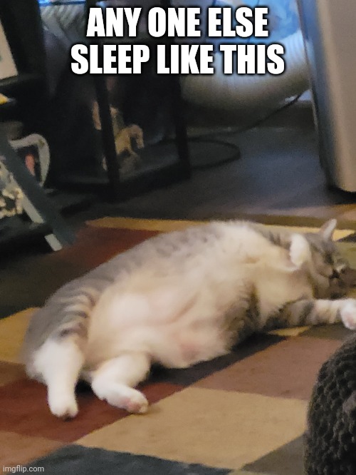 ANY ONE ELSE SLEEP LIKE THIS | made w/ Imgflip meme maker