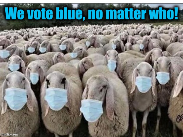 Sheeple | We vote blue, no matter who! | image tagged in sheeple | made w/ Imgflip meme maker