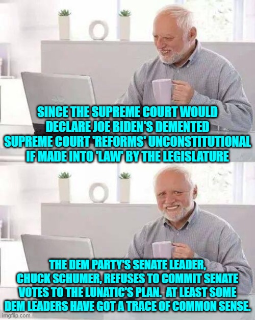 Who knew that some Dem Party leaders could actually THINK? | SINCE THE SUPREME COURT WOULD DECLARE JOE BIDEN'S DEMENTED SUPREME COURT 'REFORMS' UNCONSTITUTIONAL IF MADE INTO 'LAW' BY THE LEGISLATURE; THE DEM PARTY'S SENATE LEADER, CHUCK SCHUMER, REFUSES TO COMMIT SENATE VOTES TO THE LUNATIC'S PLAN.  AT LEAST SOME DEM LEADERS HAVE GOT A TRACE OF COMMON SENSE. | image tagged in hide the pain harold | made w/ Imgflip meme maker